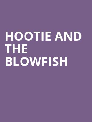 Hootie and the Blowfish, Veterans United Home Loans Amphitheater, Virginia Beach